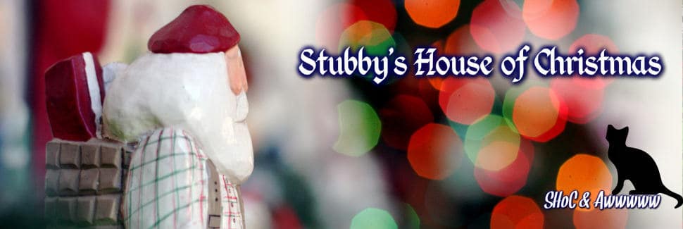 Read more about the article Stubby’s House of Christmas Give Dyer Thumbs UP!