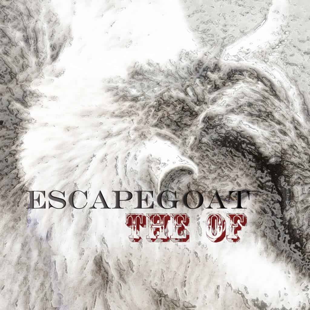 Read more about the article Finally, A Post!