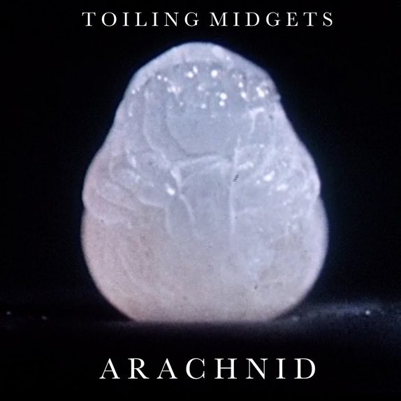 Arachnid — cover art.