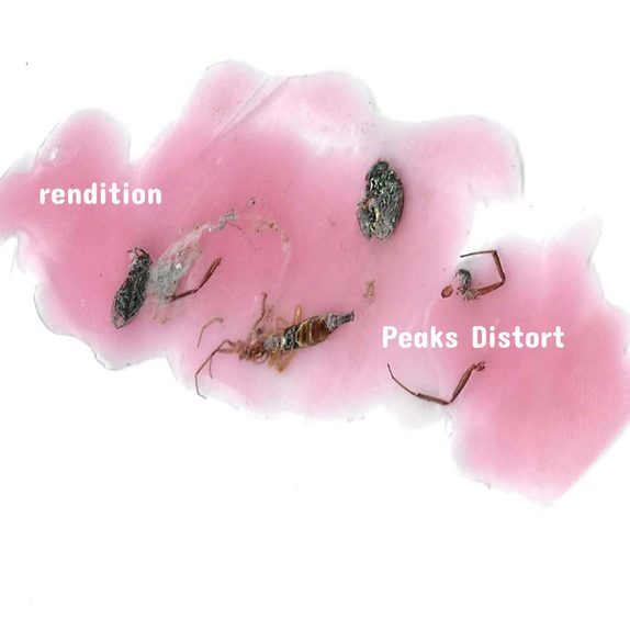 Peaks Distort — cover art.
