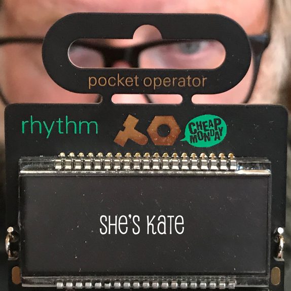 She's Kate — cover art.